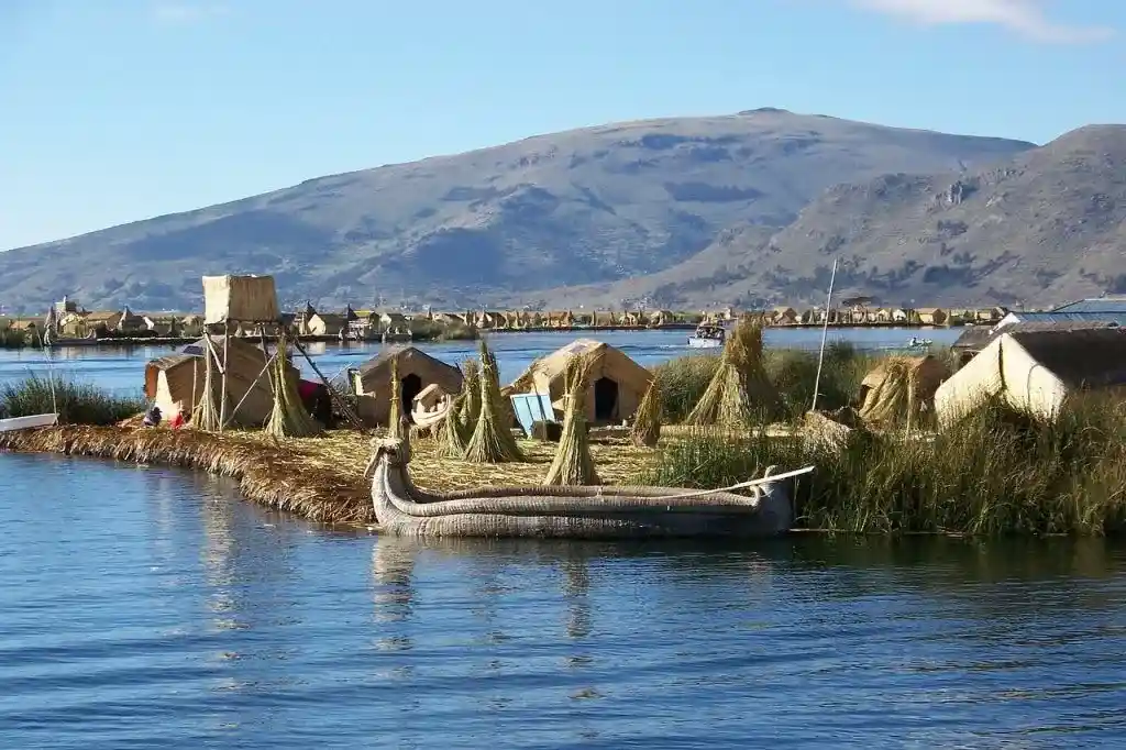 puno_11zon (1)